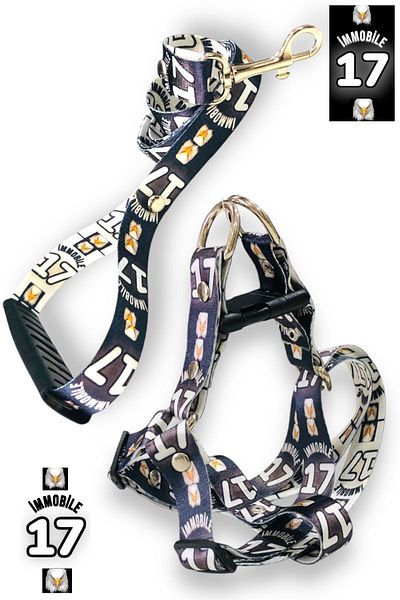 Angelapets Walking Strap Set - Dog and Chest Leash