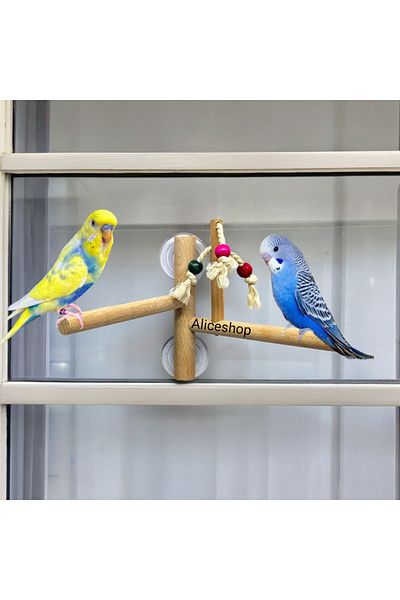 aliceshop Suction Cup Attachable Perch - Glass