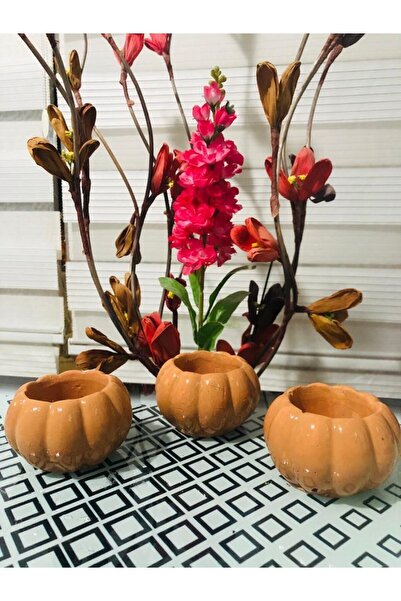 TEKUCUZ 3'lü Bal Kabak Tasarımlı Mini Dekoratif Beton Sukulent Ve Kaktüs Saks...