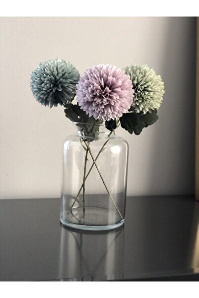 Armada Cs Home Design Pampas Cam Vazo