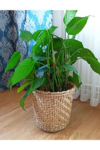 Süs Dükkanı Hasır Saksı Sepet Modeli Çiçek Saksı Sepeti
