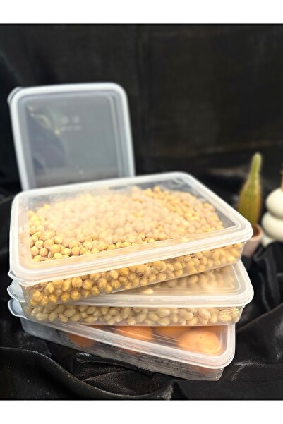 Woodeso Large 4 Pieces Freezer Storage Container Refrigerator Organizer 2400 ml