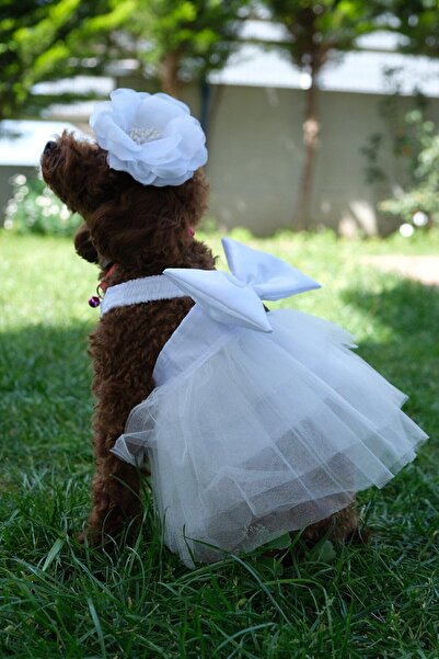 Genel Markalar Doredog Beyaz Tüllü Kedi Köpek Gelinlik / Etek / Elbise / Tütü...