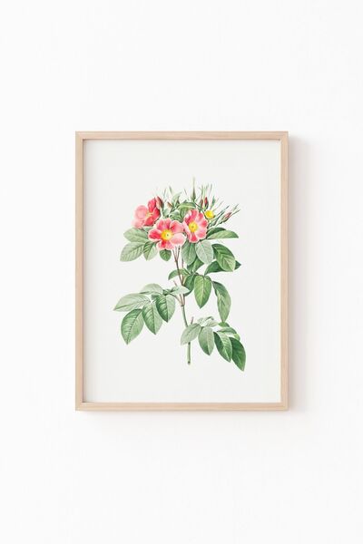 epiqart الزهور - إطار خشبي منقوش