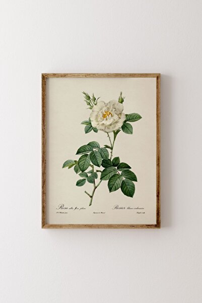 epiqart Çiçek Çizim - Ahşap Desenli Çerçeve