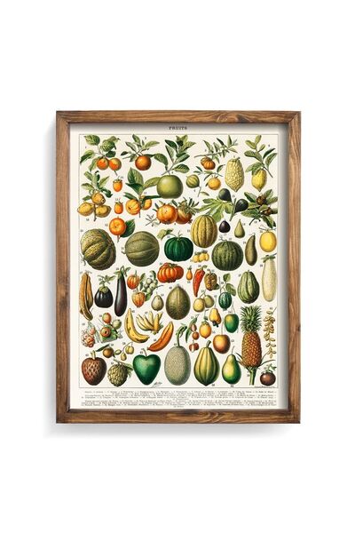 epiqart Nouveau Larousse Illustre - Ξύλινο Σχέδιο Πλαίσιο Larousse