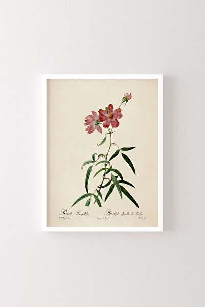 epiqart Σχέδιο λουλουδιών - Ξύλινο πλαίσιο με σχέδια