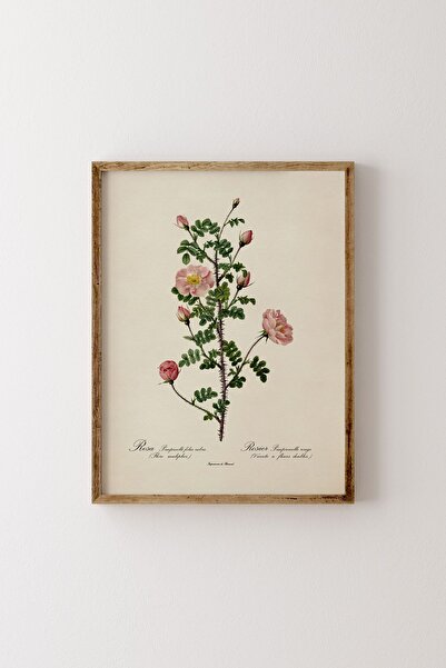 epiqart Çiçekler - Ahşap Desenli Çerçeve