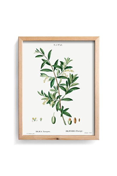 epiqart Zeytin - Ahşap Desenli Çerçeve