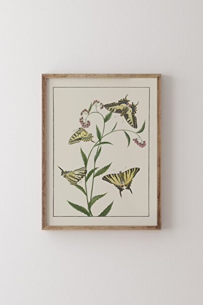 epiqart Four Butterflies on Flowers - Wooden Patterned Frame