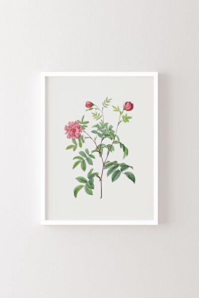 epiqart Flori - Cadru alb