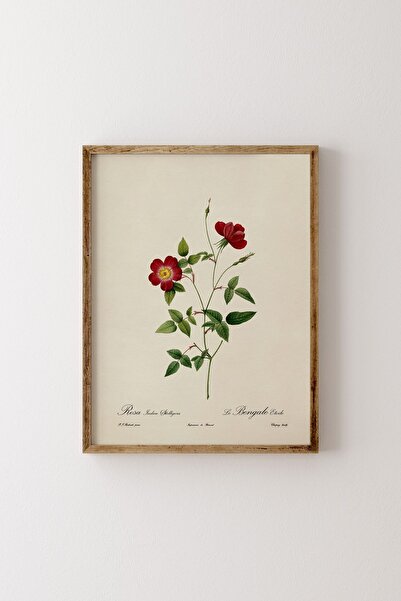 epiqart Çiçek Çizim - Ahşap Desenli Çerçeve