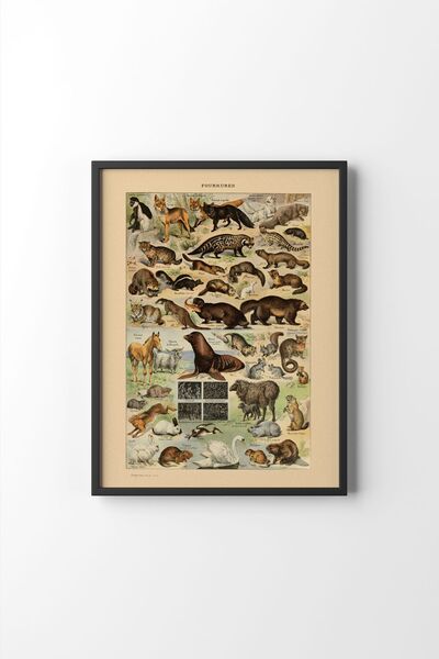 epiqart Fourrures - Black Frame