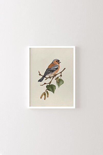 epiqart Σχέδιο πουλιού - Λευκός κορνίζας