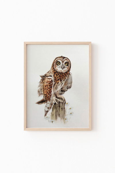 epiqart البومة - إطار خشبي منقوش