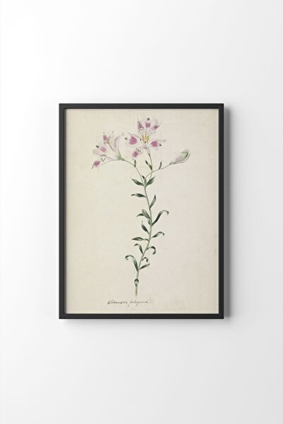 epiqart Lelie - Black Frame
