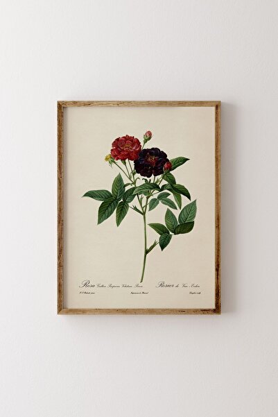 epiqart Çiçekler - Ahşap Desenli Çerçeve