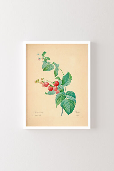 epiqart White Frame - Blackberry