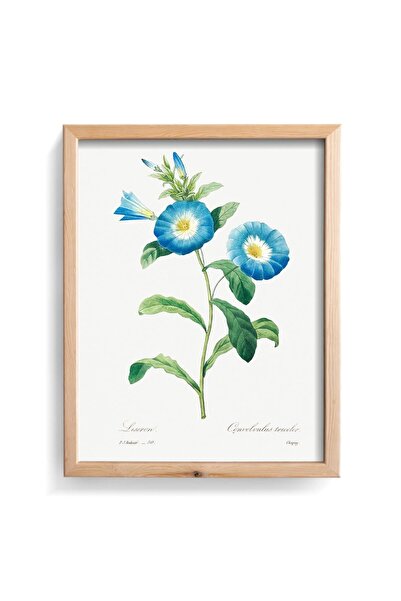 epiqart Kalisteji - Cadru din lemn cu model