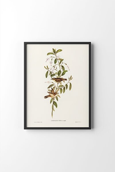 epiqart Kuş Dalı - Siyah Çerçeve