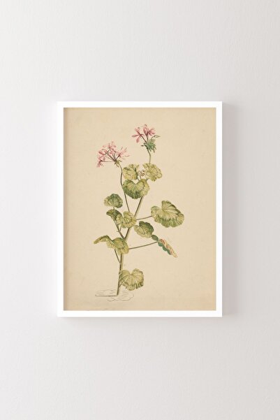 epiqart Sardunya - Cadru alb