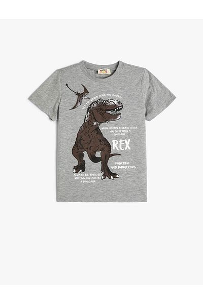 Koton Boy's Gray T-Shirt - 4skb10297tk