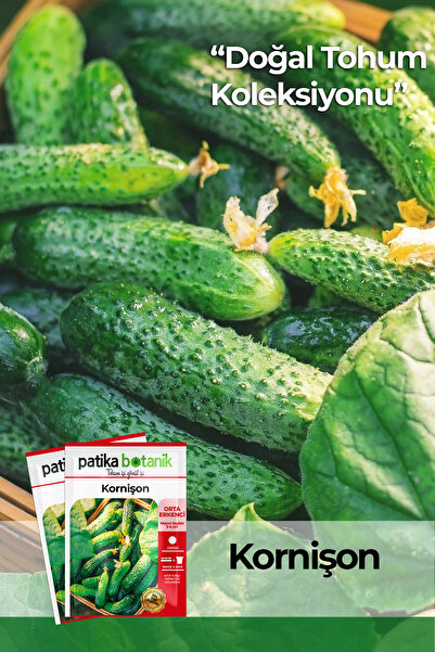 Patika Botanik 100 Adet Kornişon (Turşuluk) Salatalık Tohumu