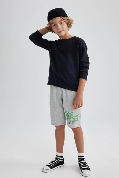 DeFacto Boy's Sweatshirt - Crew Neck, A9391A823Au Model