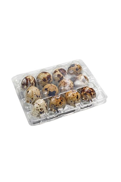 Ucuzviyol BILDIRCIN YUMURTASI VİYOLÜ 200 ADET