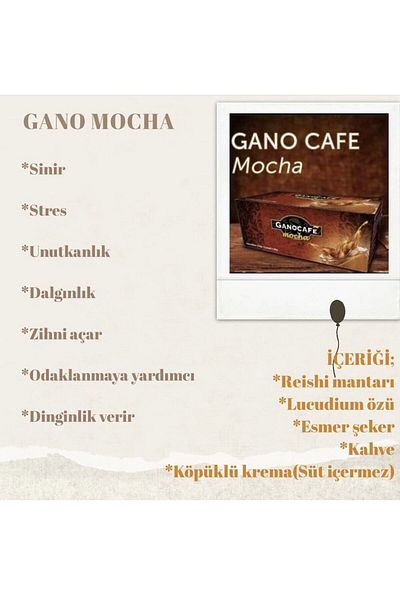 GanoExcel Gano Mocha 3 Boxes