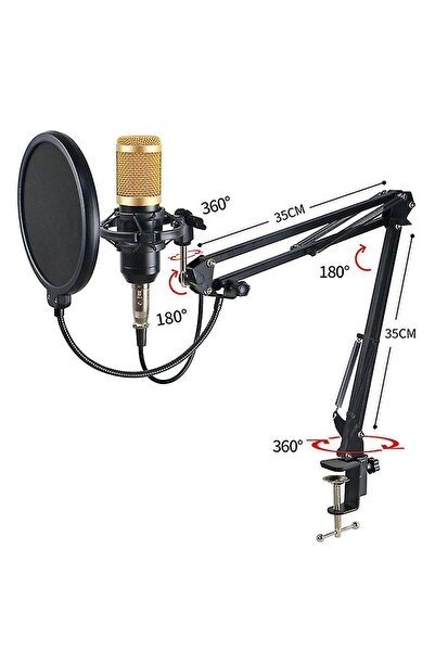 pazariz Profesyonel Kayıt Stüdyosu Ses Kayıt Harici Canlı Amfili Mikrofon Ses Kartı Mikrofon