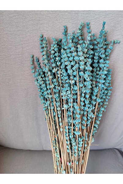 EFİRAZ Şoklanmış Dökülmeyen Gerçek Mavi Lavanta