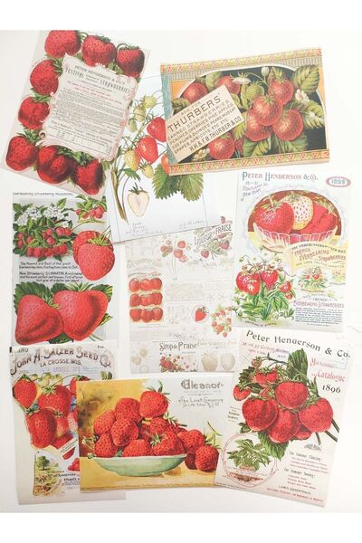 Scrapbook Vintage Çilek Temalı Kağıdı Seti/ Journal & Ing