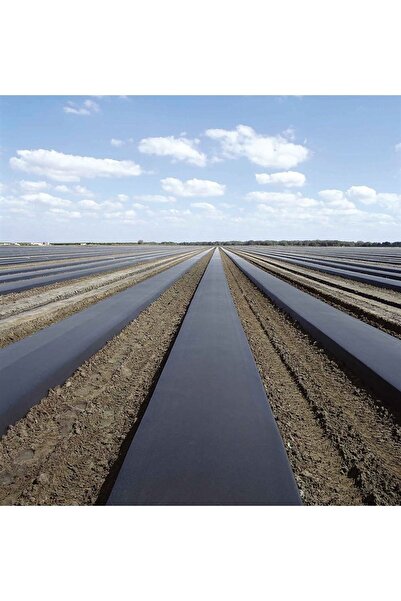 SEF TARIM Malç Naylonu 1,2m En 500m Uzunluk 25 Micron 22kg