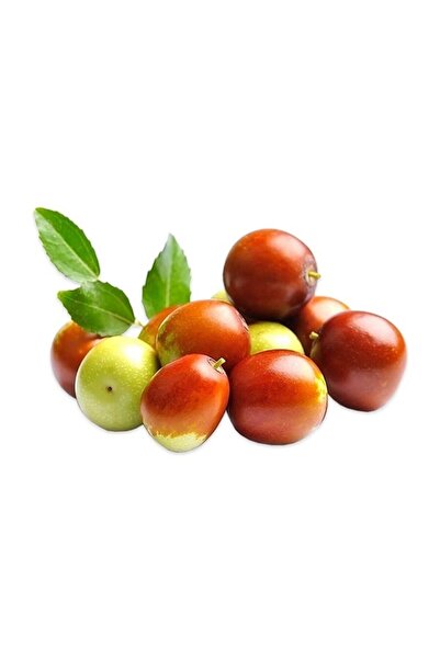 Sebze Meyve Dünyası Hünnap Iri Boy Taze (kg)