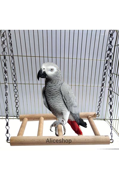 aliceshop Amazon Jako - Wooden Swing for Parrots