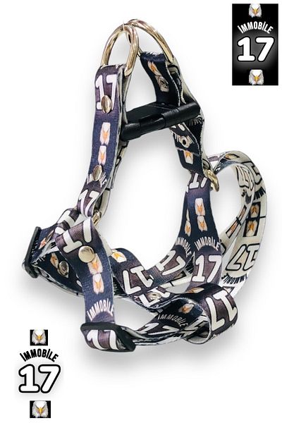 Angelapets Walking Strap Set - Dog and Chest Leash
