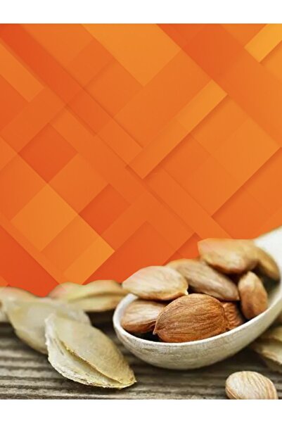 Sayınlar Organik Acı Kayısı Çekirdeği