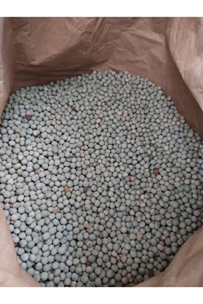 Nazilli Aşan Tarım Güvercin Yemi Yeşil Bezelye 1 Kilogram