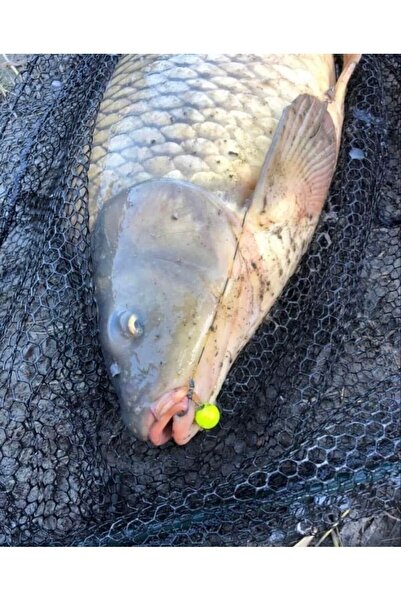 SAZAN RİG Küspe Aparatlı Yüzen Fosfor Yeşili Toplu Sazan Takımı 5’li Set (KÜSPE DAHİL)