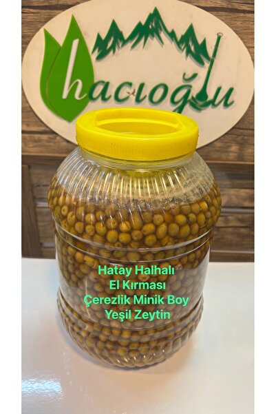 Hacıoğlu baharat Hatay Yöresel Halhalı Minik Küçük Boy Çerezlik Yeşil Zeytin 5 Litre / 3 Kg Bidon