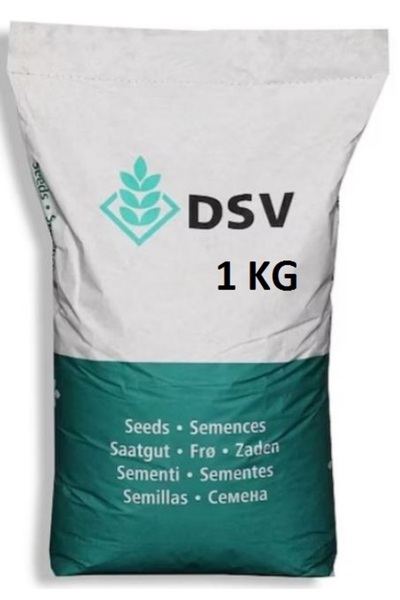 DSV Yonca Ak Üçgül Tohumu 5 Kg - Yüksek Verimli Ve Dayanıklı Üçgül