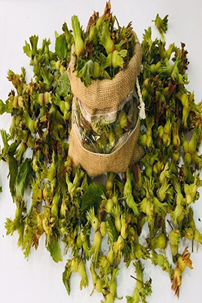Taze Yeşil Fındık 1kg Bahçeden Yeni Mahsül