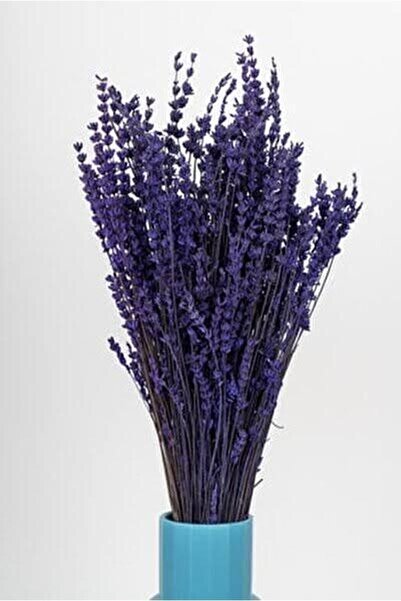 Kuru Çiçek Deposu Kuru Çiçek Şoklanmış Dökülmeyen Gerçek Lavanta Demeti