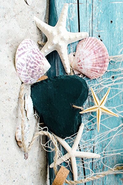 SÜNGERSAN Σετ καθισμάτων τουαλέτας Χαλάκι μπάνιου Σετ 2 τεμαχίων με αντιολισθητική βάση