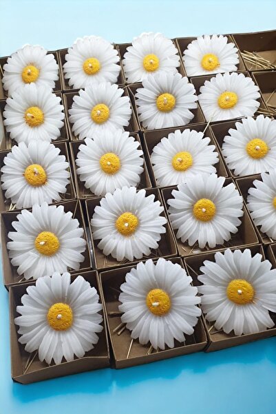 ERSE HOME Mum Palace 8 Adet Kraft Kutulu Papatya Mum Etiketsiz