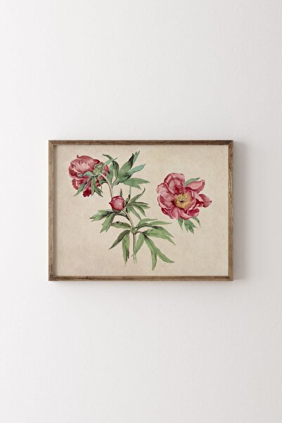 epiqart Ramă din lemn cu model de bujor Martin Schongauer