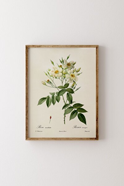 epiqart Çiçek Çizim - Ahşap Desenli Çerçeve