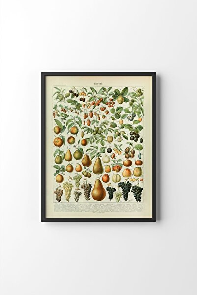epiqart Fruits - Siyah Çerçeve