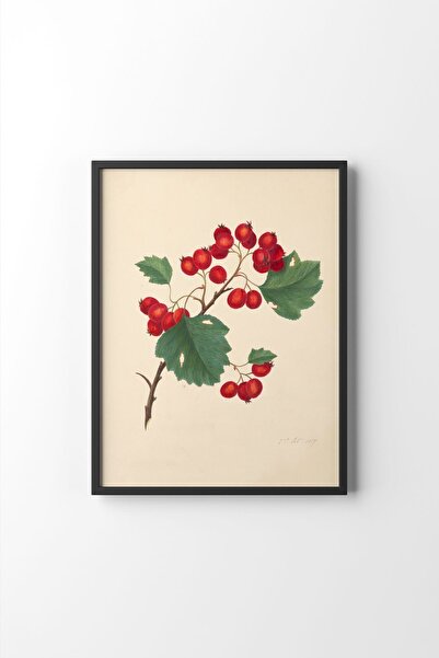 epiqart Currants - Black Frame